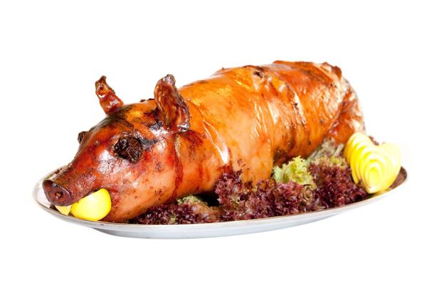 Roast suckling pig with crisp golden skin on a platter