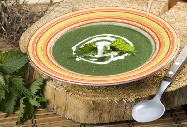 Bowl of green nettle soup with a swirl of cream