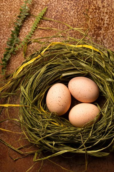 Eggs dyed brown with onion husks in a nest of grass